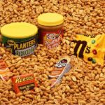 Hire The Rolled Ice Cream Company in Bedfordshire